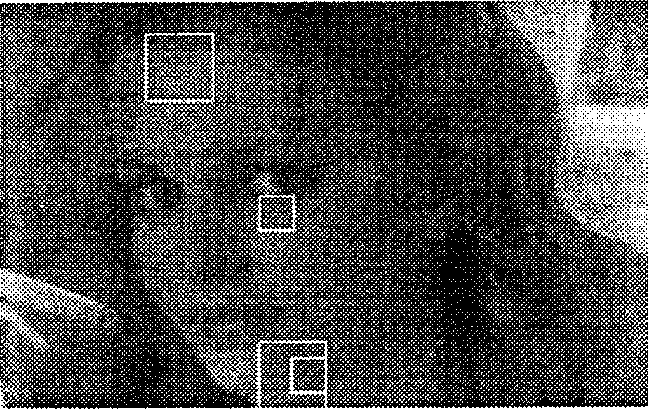 Полутоновое изображение, на котором отмечены две зоны и два блока (с разрешения Jean-Loup Gailly)