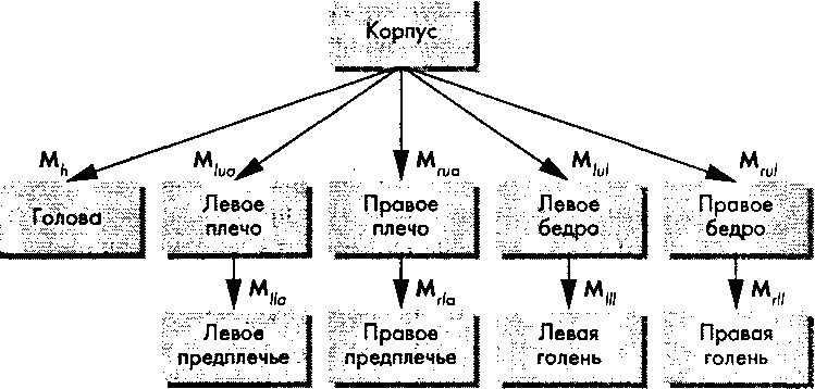 Маркированное дерево представления модели киборга