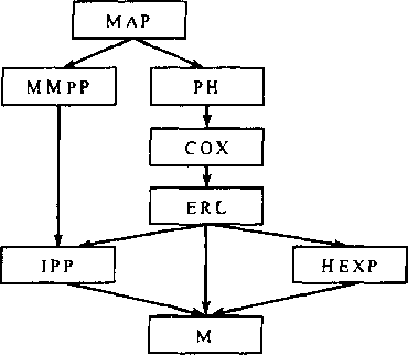 Иерархия моделей, используемых для описания СМ: