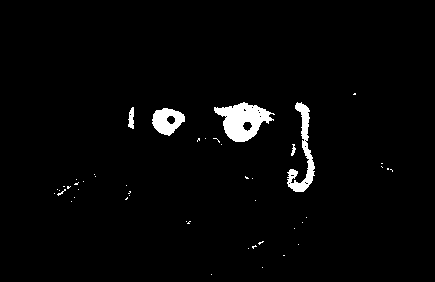 Кукла дарума (daruma), символ удачи в Японии, нарисованная компьютерным художником Койчи Козаки (Koichi Kozaki) с помощью процедуры программы рисования кистью. Куклы дарума, как правило, делаются без глаз. Один глаз рисуется тогда, когда загадывается желание, а другой - тогда, когда это желание исполняется (перепечатано с разрешения корпорации Wacom Technology, Corp.)
