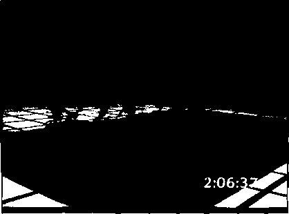 Завихряющийся поток воздуха, визуализированный с широкими линиями потока внутри прозрачного изоповерхностного графика грома (перепечатано с разрешения Боба Вильгельмсона, факультет атмосферных наук, и Национального центра суперком-пьютерных приложений, Иллинойский университет в Урбана-Шампейн)