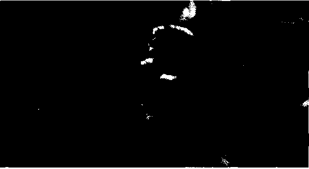 Шаблон тени, отображенный на лицо доктора Аки Росс, анимированного персонажа из фильма Final Fantasy: The Spirits Within (перепечатано с разрешения Square Pictures, Inc. © 2001, FFFP)