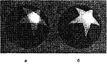 Промежуточные результаты вычислений: а- белым цветом обозначены точки на поверхности, находящиеся внутри по отношению ко всем пяти полуплоскостям, а серым - внутри по отношению только к четырем полуплоскостям; 6- значение inorout приведено к диапазону [0, 1] (АЛ Research, Inc.)