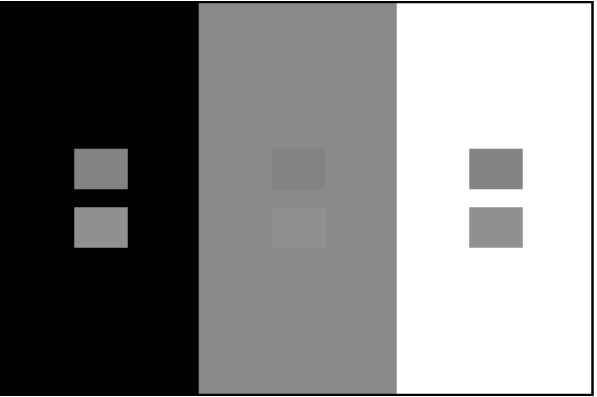 Пример оконтуривания: пары серых патчей физически идентичны на всех трех фонах.