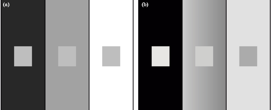 а) - оригинальный стимул; (b) - iCAM J-карта (светлотная), иллюстрирующая прогноз симультанного контраста.